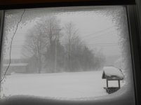 DSCN1572.jpg