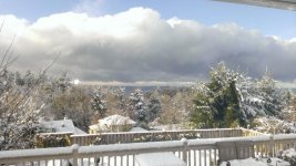 WP_20170101_002.jpg
