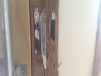 IMG_3239.jpg