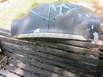 IMG_1437.jpg