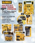 Ace - $9.99 DeWalt.jpg