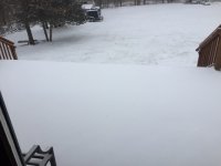 IMG_1780.jpg