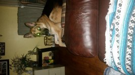 20160909_203159.jpg