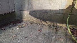 20160901_191741.jpg