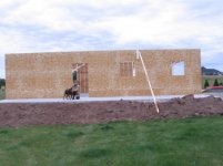 Walls W.jpg