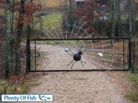 gate.jpg