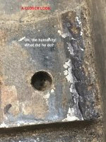 2 CTPBS mutilated frog boss close up with comment.jpg