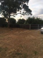 fence 2.jpg