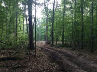 IMG_1053.jpg
