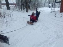 IMG_3223.jpg
