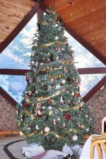 Christmas-2016 (3).jpg
