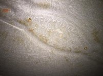 IMG_0289.jpg