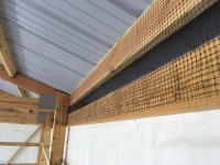 IMG_2399.jpg