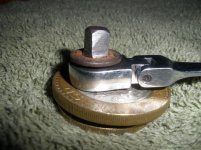 rat.25side.jpg