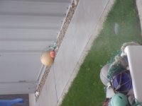 DSCF2717.JPG