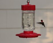 Hummer4.jpg