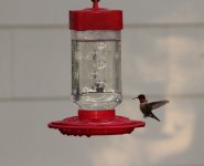 Hummer5.jpg