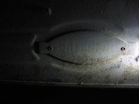 IMG_3991.jpg
