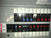 IMG_0542.jpg