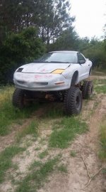 4x4bird.jpg