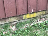 IMG_0044.jpg