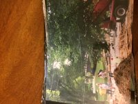 IMG_5412.JPG