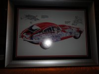 DSC00607.jpg