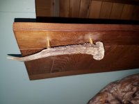 20170506_114647[32396].jpg