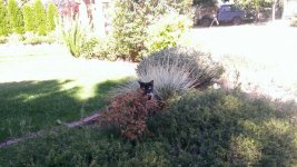 WP_20160910_002.jpg
