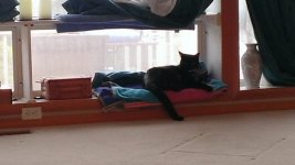 WP_20160624_010.jpg