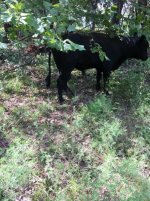 IMG_2319.jpg