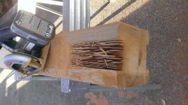 WP_20171001_014.jpg