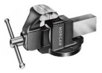 MorganVise__38100.1381551523.220.220.jpg
