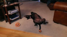 WP_20160610_004.jpg