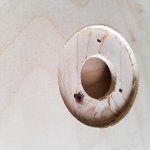 20170820_115443.jpg