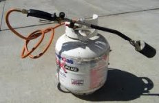 rosebud torch.jpg