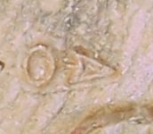 Stamp 2.jpg