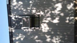 20170610_163148.jpg