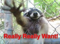 raccoon_really_really_want.jpg