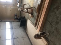 IMG_3439.jpg