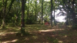 IMG_20170624_093643892.jpg