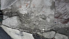 20170405_073905.jpg
