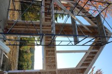 IMG_1383.jpg
