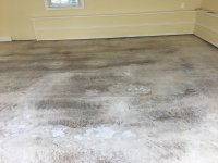 sanded 6.jpg