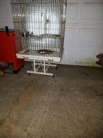 2017 04 16 ford parts bird cage 051.jpg