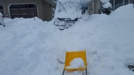 20170206_101131.jpg
