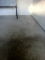 ImageUploadedByTapatalk1313592803.428607.jpg