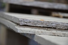 DSC_2227.jpg