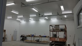 lights.jpg