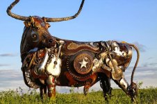 bull.jpg